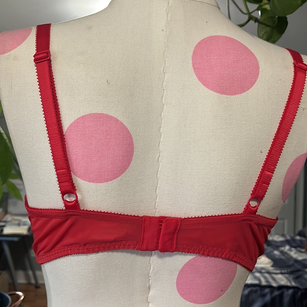 Bra - Picture 2 of 2